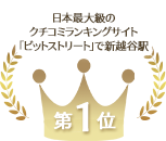 日本最大級の クチコミランキングサイト「ビットストリート」で新越谷駅 第1位