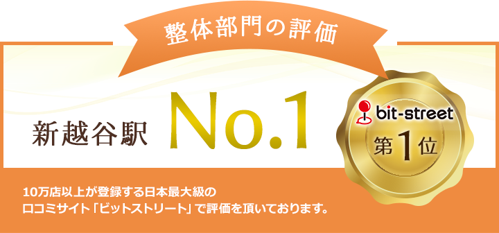 整体部門の評価 新越谷駅No.1